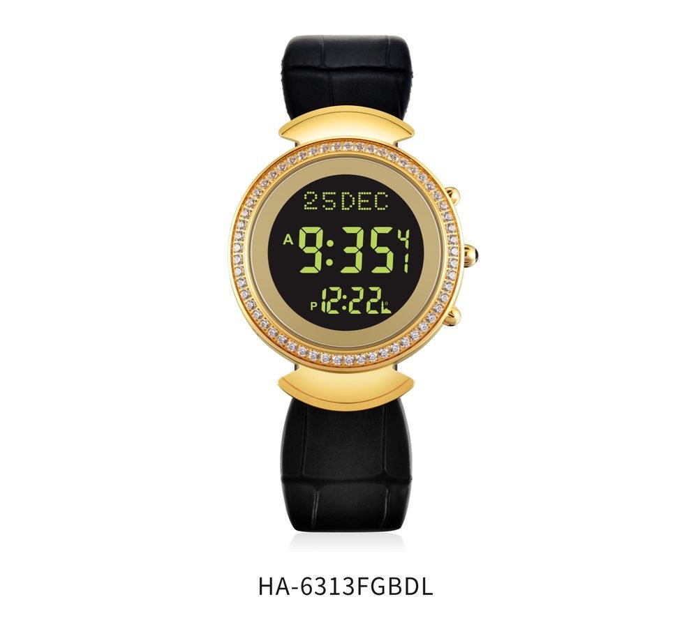HA-6313 4