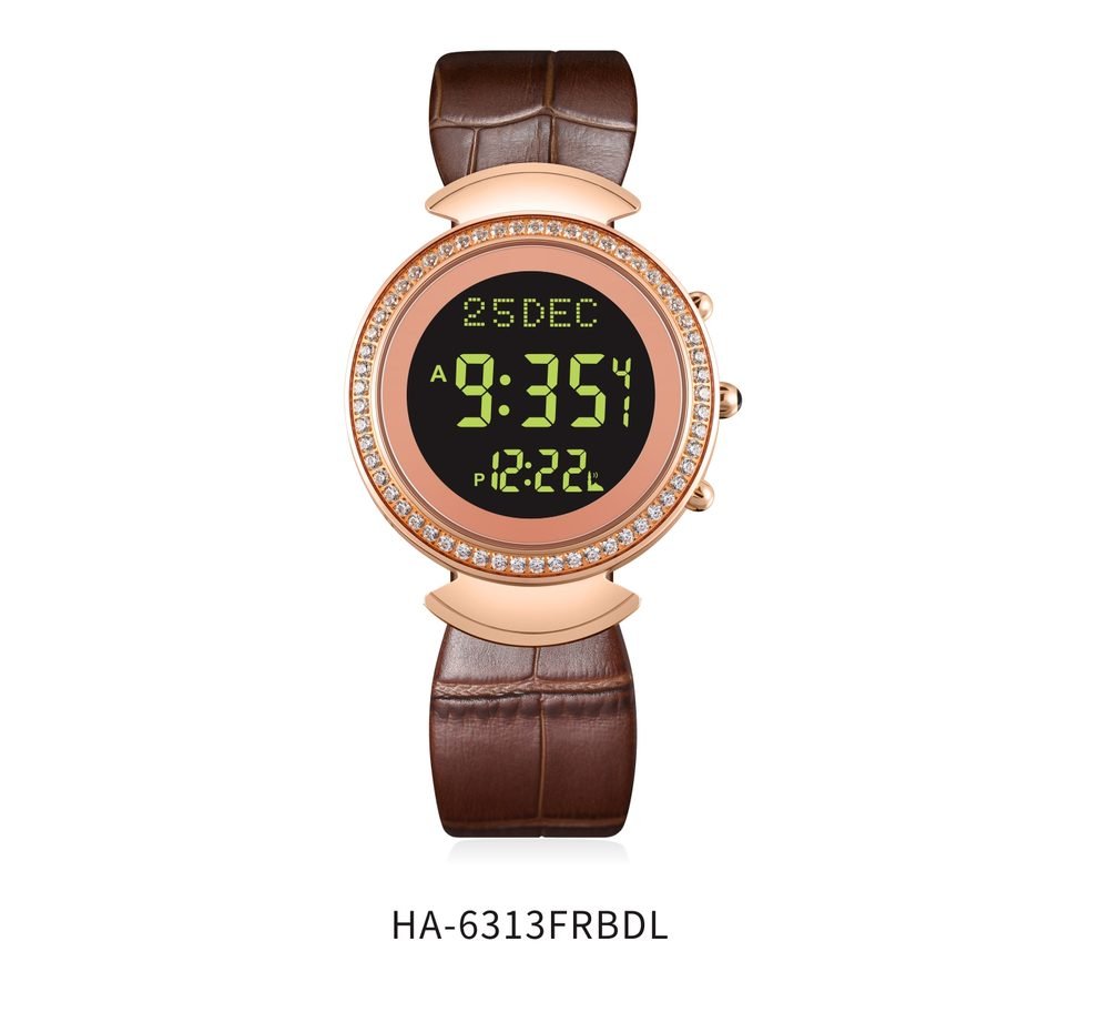 HA-6313 3